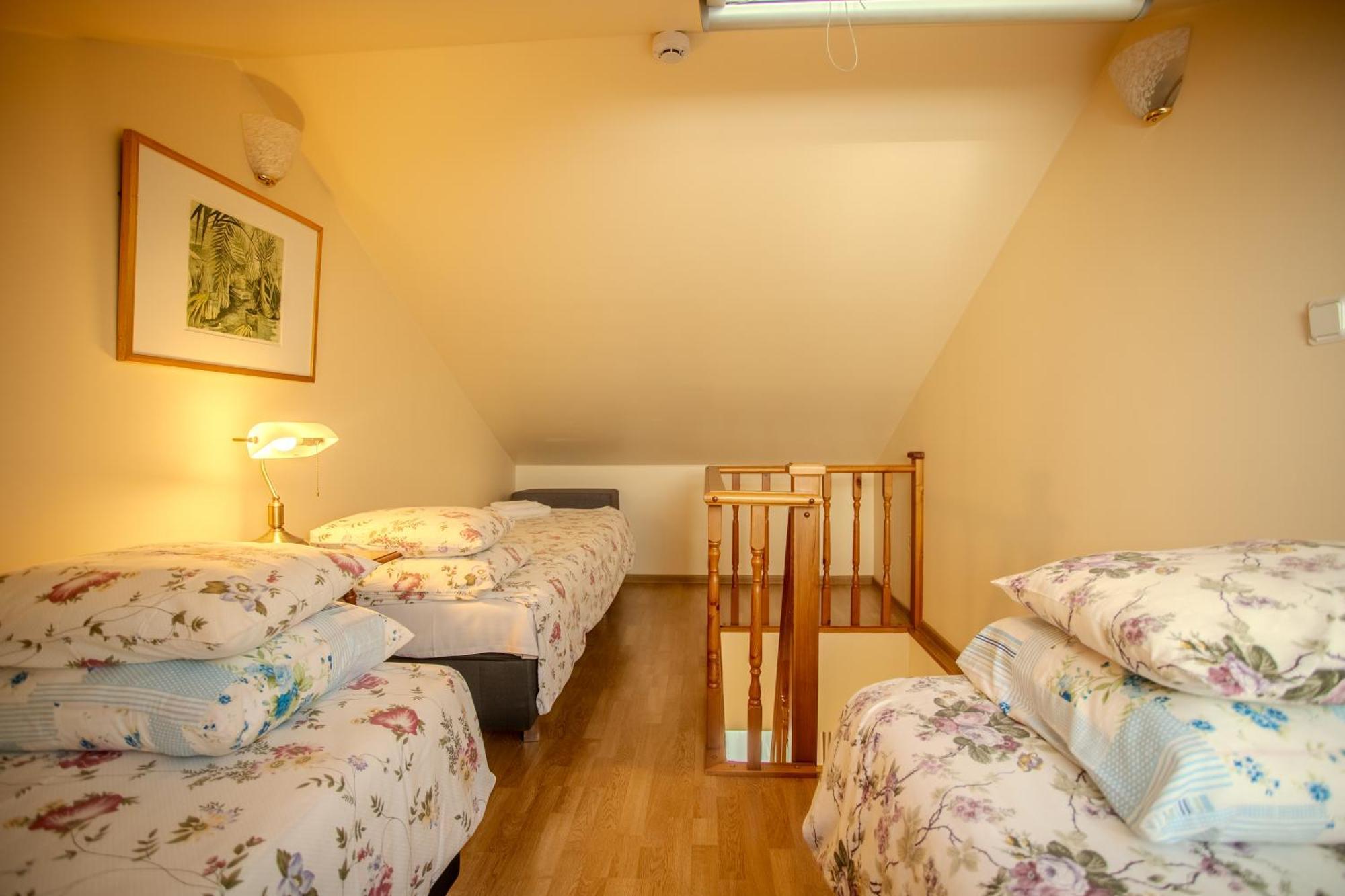Nina Kordon Guesthouse Alatskivi Ngoại thất bức ảnh